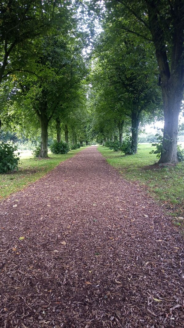 Demense in Autumn by Moira Community Association